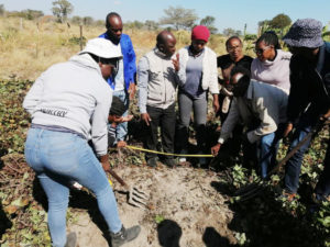UNAM trained NAB and Ministry of Agriculture staff on crop yield estimation