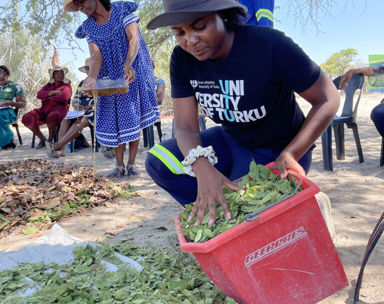 Ogongo Campus leads tree planting initiative in Ohangwena to advance ...